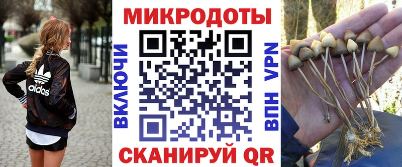 Галлюциногенные грибы MAGIC MUSHROOMS  Волжский 