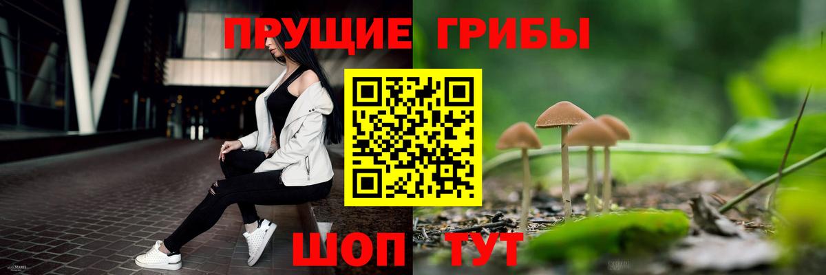 Псилоцибиновые грибы MAGIC MUSHROOMS Волжский