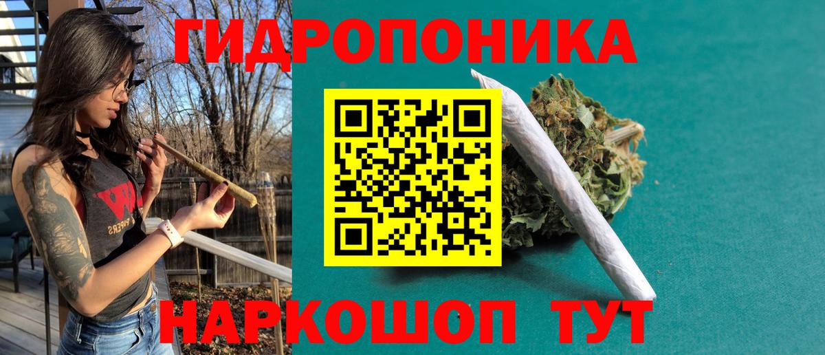 МАРИХУАНА семена Волжский